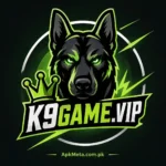 K9 Game